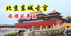女人被男人用大鸡巴插出白浆的视频中国北京-东城古宫旅游风景区